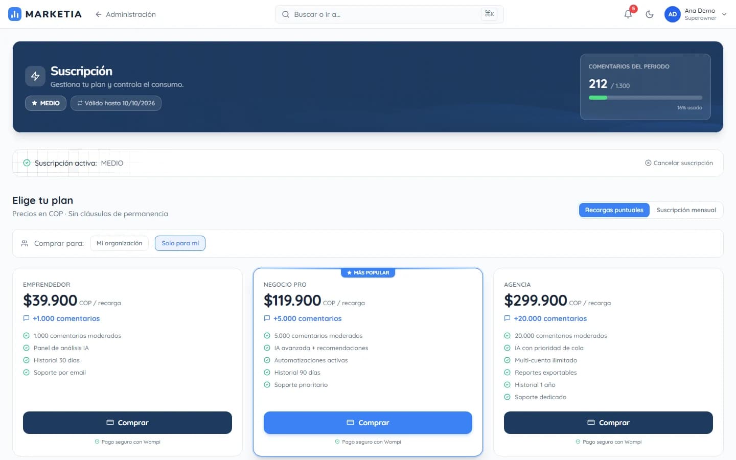 Subscription — Organization plan, usage and credits; top-ups and monthly subscription with secure payment.